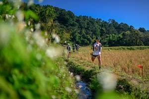 BIB: 
                            <button type="button" onclick="openModal(26573749)" class="btn btn-primary btn-sm float-right btn-popup" data-toggle="modal" data-target=".modal-high-quality">
                        <i class="fas fa-shopping-cart"></i> Add to Cart
                    </button>
                                            <button type="button" onclick="isThisMe(26573749, true)" class="btn btn-success btn-sm float-right btn-popup btn-isme hidden" data-toggle="tooltip" data-placement="bottom" title="นี่คือรูปของคุณใช่ไหม คลิกที่นี่เพื่อเอาเข้าอัลบั้ม">
                        <i class="fas fa-plus"></i> Add to album
                    </button>
                    <button type="button" onclick="isThisMe(26573749, false)" class="btn btn-warning btn-sm float-right btn-popup btn-isnotme hidden">
                        <i class="fas fa-ban"></i> Remove from album
                    </button>