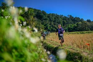 BIB: 
                            <button type="button" onclick="openModal(26574795)" class="btn btn-primary btn-sm float-right btn-popup" data-toggle="modal" data-target=".modal-high-quality">
                        <i class="fas fa-shopping-cart"></i> Add to Cart
                    </button>
                                            <button type="button" onclick="isThisMe(26574795, true)" class="btn btn-success btn-sm float-right btn-popup btn-isme hidden" data-toggle="tooltip" data-placement="bottom" title="นี่คือรูปของคุณใช่ไหม คลิกที่นี่เพื่อเอาเข้าอัลบั้ม">
                        <i class="fas fa-plus"></i> Add to album
                    </button>
                    <button type="button" onclick="isThisMe(26574795, false)" class="btn btn-warning btn-sm float-right btn-popup btn-isnotme hidden">
                        <i class="fas fa-ban"></i> Remove from album
                    </button>