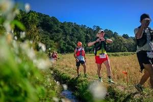 BIB: 
                            <button type="button" onclick="openModal(26574165)" class="btn btn-primary btn-sm float-right btn-popup" data-toggle="modal" data-target=".modal-high-quality">
                        <i class="fas fa-shopping-cart"></i> Add to Cart
                    </button>
                                            <button type="button" onclick="isThisMe(26574165, true)" class="btn btn-success btn-sm float-right btn-popup btn-isme hidden" data-toggle="tooltip" data-placement="bottom" title="นี่คือรูปของคุณใช่ไหม คลิกที่นี่เพื่อเอาเข้าอัลบั้ม">
                        <i class="fas fa-plus"></i> Add to album
                    </button>
                    <button type="button" onclick="isThisMe(26574165, false)" class="btn btn-warning btn-sm float-right btn-popup btn-isnotme hidden">
                        <i class="fas fa-ban"></i> Remove from album
                    </button>