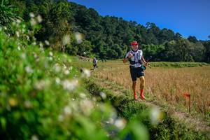 BIB: 
                            <button type="button" onclick="openModal(26581639)" class="btn btn-primary btn-sm float-right btn-popup" data-toggle="modal" data-target=".modal-high-quality">
                        <i class="fas fa-shopping-cart"></i> Add to Cart
                    </button>
                                            <button type="button" onclick="isThisMe(26581639, true)" class="btn btn-success btn-sm float-right btn-popup btn-isme hidden" data-toggle="tooltip" data-placement="bottom" title="นี่คือรูปของคุณใช่ไหม คลิกที่นี่เพื่อเอาเข้าอัลบั้ม">
                        <i class="fas fa-plus"></i> Add to album
                    </button>
                    <button type="button" onclick="isThisMe(26581639, false)" class="btn btn-warning btn-sm float-right btn-popup btn-isnotme hidden">
                        <i class="fas fa-ban"></i> Remove from album
                    </button>