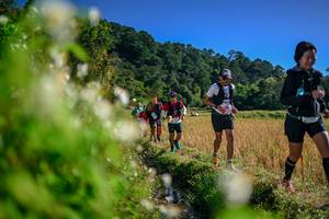 BIB: 
                            <button type="button" onclick="openModal(26574598)" class="btn btn-primary btn-sm float-right btn-popup" data-toggle="modal" data-target=".modal-high-quality">
                        <i class="fas fa-shopping-cart"></i> Add to Cart
                    </button>
                                            <button type="button" onclick="isThisMe(26574598, true)" class="btn btn-success btn-sm float-right btn-popup btn-isme hidden" data-toggle="tooltip" data-placement="bottom" title="นี่คือรูปของคุณใช่ไหม คลิกที่นี่เพื่อเอาเข้าอัลบั้ม">
                        <i class="fas fa-plus"></i> Add to album
                    </button>
                    <button type="button" onclick="isThisMe(26574598, false)" class="btn btn-warning btn-sm float-right btn-popup btn-isnotme hidden">
                        <i class="fas fa-ban"></i> Remove from album
                    </button>