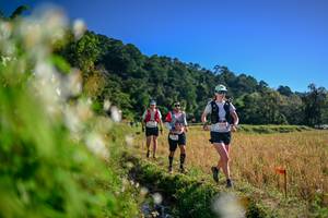 BIB: 
                            <button type="button" onclick="openModal(26572277)" class="btn btn-primary btn-sm float-right btn-popup" data-toggle="modal" data-target=".modal-high-quality">
                        <i class="fas fa-shopping-cart"></i> Add to Cart
                    </button>
                                            <button type="button" onclick="isThisMe(26572277, true)" class="btn btn-success btn-sm float-right btn-popup btn-isme hidden" data-toggle="tooltip" data-placement="bottom" title="นี่คือรูปของคุณใช่ไหม คลิกที่นี่เพื่อเอาเข้าอัลบั้ม">
                        <i class="fas fa-plus"></i> Add to album
                    </button>
                    <button type="button" onclick="isThisMe(26572277, false)" class="btn btn-warning btn-sm float-right btn-popup btn-isnotme hidden">
                        <i class="fas fa-ban"></i> Remove from album
                    </button>