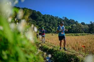 BIB: 
                            <button type="button" onclick="openModal(26572136)" class="btn btn-primary btn-sm float-right btn-popup" data-toggle="modal" data-target=".modal-high-quality">
                        <i class="fas fa-shopping-cart"></i> Add to Cart
                    </button>
                                            <button type="button" onclick="isThisMe(26572136, true)" class="btn btn-success btn-sm float-right btn-popup btn-isme hidden" data-toggle="tooltip" data-placement="bottom" title="นี่คือรูปของคุณใช่ไหม คลิกที่นี่เพื่อเอาเข้าอัลบั้ม">
                        <i class="fas fa-plus"></i> Add to album
                    </button>
                    <button type="button" onclick="isThisMe(26572136, false)" class="btn btn-warning btn-sm float-right btn-popup btn-isnotme hidden">
                        <i class="fas fa-ban"></i> Remove from album
                    </button>