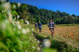 BIB: 
                            <button type="button" onclick="openModal(26574768)" class="btn btn-primary btn-sm float-right btn-popup" data-toggle="modal" data-target=".modal-high-quality">
                        <i class="fas fa-shopping-cart"></i> Add to Cart
                    </button>
                                            <button type="button" onclick="isThisMe(26574768, true)" class="btn btn-success btn-sm float-right btn-popup btn-isme hidden" data-toggle="tooltip" data-placement="bottom" title="นี่คือรูปของคุณใช่ไหม คลิกที่นี่เพื่อเอาเข้าอัลบั้ม">
                        <i class="fas fa-plus"></i> Add to album
                    </button>
                    <button type="button" onclick="isThisMe(26574768, false)" class="btn btn-warning btn-sm float-right btn-popup btn-isnotme hidden">
                        <i class="fas fa-ban"></i> Remove from album
                    </button>