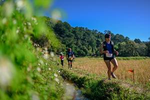 BIB: 
                            <button type="button" onclick="openModal(26580851)" class="btn btn-primary btn-sm float-right btn-popup" data-toggle="modal" data-target=".modal-high-quality">
                        <i class="fas fa-shopping-cart"></i> Add to Cart
                    </button>
                                            <button type="button" onclick="isThisMe(26580851, true)" class="btn btn-success btn-sm float-right btn-popup btn-isme hidden" data-toggle="tooltip" data-placement="bottom" title="นี่คือรูปของคุณใช่ไหม คลิกที่นี่เพื่อเอาเข้าอัลบั้ม">
                        <i class="fas fa-plus"></i> Add to album
                    </button>
                    <button type="button" onclick="isThisMe(26580851, false)" class="btn btn-warning btn-sm float-right btn-popup btn-isnotme hidden">
                        <i class="fas fa-ban"></i> Remove from album
                    </button>