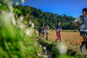 BIB: 
                            <button type="button" onclick="openModal(26573296)" class="btn btn-primary btn-sm float-right btn-popup" data-toggle="modal" data-target=".modal-high-quality">
                        <i class="fas fa-shopping-cart"></i> Add to Cart
                    </button>
                                            <button type="button" onclick="isThisMe(26573296, true)" class="btn btn-success btn-sm float-right btn-popup btn-isme hidden" data-toggle="tooltip" data-placement="bottom" title="นี่คือรูปของคุณใช่ไหม คลิกที่นี่เพื่อเอาเข้าอัลบั้ม">
                        <i class="fas fa-plus"></i> Add to album
                    </button>
                    <button type="button" onclick="isThisMe(26573296, false)" class="btn btn-warning btn-sm float-right btn-popup btn-isnotme hidden">
                        <i class="fas fa-ban"></i> Remove from album
                    </button>