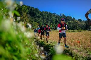 BIB: 
                            <button type="button" onclick="openModal(26574605)" class="btn btn-primary btn-sm float-right btn-popup" data-toggle="modal" data-target=".modal-high-quality">
                        <i class="fas fa-shopping-cart"></i> Add to Cart
                    </button>
                                            <button type="button" onclick="isThisMe(26574605, true)" class="btn btn-success btn-sm float-right btn-popup btn-isme hidden" data-toggle="tooltip" data-placement="bottom" title="นี่คือรูปของคุณใช่ไหม คลิกที่นี่เพื่อเอาเข้าอัลบั้ม">
                        <i class="fas fa-plus"></i> Add to album
                    </button>
                    <button type="button" onclick="isThisMe(26574605, false)" class="btn btn-warning btn-sm float-right btn-popup btn-isnotme hidden">
                        <i class="fas fa-ban"></i> Remove from album
                    </button>