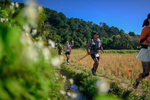 BIB: 
                            <button type="button" onclick="openModal(26575328)" class="btn btn-primary btn-sm float-right btn-popup" data-toggle="modal" data-target=".modal-high-quality">
                        <i class="fas fa-shopping-cart"></i> Add to Cart
                    </button>
                                            <button type="button" onclick="isThisMe(26575328, true)" class="btn btn-success btn-sm float-right btn-popup btn-isme hidden" data-toggle="tooltip" data-placement="bottom" title="นี่คือรูปของคุณใช่ไหม คลิกที่นี่เพื่อเอาเข้าอัลบั้ม">
                        <i class="fas fa-plus"></i> Add to album
                    </button>
                    <button type="button" onclick="isThisMe(26575328, false)" class="btn btn-warning btn-sm float-right btn-popup btn-isnotme hidden">
                        <i class="fas fa-ban"></i> Remove from album
                    </button>