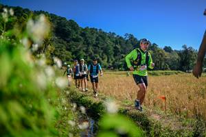 BIB: 
                            <button type="button" onclick="openModal(26575595)" class="btn btn-primary btn-sm float-right btn-popup" data-toggle="modal" data-target=".modal-high-quality">
                        <i class="fas fa-shopping-cart"></i> Add to Cart
                    </button>
                                            <button type="button" onclick="isThisMe(26575595, true)" class="btn btn-success btn-sm float-right btn-popup btn-isme hidden" data-toggle="tooltip" data-placement="bottom" title="นี่คือรูปของคุณใช่ไหม คลิกที่นี่เพื่อเอาเข้าอัลบั้ม">
                        <i class="fas fa-plus"></i> Add to album
                    </button>
                    <button type="button" onclick="isThisMe(26575595, false)" class="btn btn-warning btn-sm float-right btn-popup btn-isnotme hidden">
                        <i class="fas fa-ban"></i> Remove from album
                    </button>