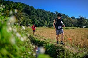 BIB: 
                            <button type="button" onclick="openModal(26575685)" class="btn btn-primary btn-sm float-right btn-popup" data-toggle="modal" data-target=".modal-high-quality">
                        <i class="fas fa-shopping-cart"></i> Add to Cart
                    </button>
                                            <button type="button" onclick="isThisMe(26575685, true)" class="btn btn-success btn-sm float-right btn-popup btn-isme hidden" data-toggle="tooltip" data-placement="bottom" title="นี่คือรูปของคุณใช่ไหม คลิกที่นี่เพื่อเอาเข้าอัลบั้ม">
                        <i class="fas fa-plus"></i> Add to album
                    </button>
                    <button type="button" onclick="isThisMe(26575685, false)" class="btn btn-warning btn-sm float-right btn-popup btn-isnotme hidden">
                        <i class="fas fa-ban"></i> Remove from album
                    </button>