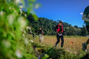 BIB: 
                            <button type="button" onclick="openModal(26579980)" class="btn btn-primary btn-sm float-right btn-popup" data-toggle="modal" data-target=".modal-high-quality">
                        <i class="fas fa-shopping-cart"></i> Add to Cart
                    </button>
                                            <button type="button" onclick="isThisMe(26579980, true)" class="btn btn-success btn-sm float-right btn-popup btn-isme hidden" data-toggle="tooltip" data-placement="bottom" title="นี่คือรูปของคุณใช่ไหม คลิกที่นี่เพื่อเอาเข้าอัลบั้ม">
                        <i class="fas fa-plus"></i> Add to album
                    </button>
                    <button type="button" onclick="isThisMe(26579980, false)" class="btn btn-warning btn-sm float-right btn-popup btn-isnotme hidden">
                        <i class="fas fa-ban"></i> Remove from album
                    </button>