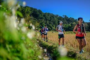 BIB: 
                            <button type="button" onclick="openModal(26572970)" class="btn btn-primary btn-sm float-right btn-popup" data-toggle="modal" data-target=".modal-high-quality">
                        <i class="fas fa-shopping-cart"></i> Add to Cart
                    </button>
                                            <button type="button" onclick="isThisMe(26572970, true)" class="btn btn-success btn-sm float-right btn-popup btn-isme hidden" data-toggle="tooltip" data-placement="bottom" title="นี่คือรูปของคุณใช่ไหม คลิกที่นี่เพื่อเอาเข้าอัลบั้ม">
                        <i class="fas fa-plus"></i> Add to album
                    </button>
                    <button type="button" onclick="isThisMe(26572970, false)" class="btn btn-warning btn-sm float-right btn-popup btn-isnotme hidden">
                        <i class="fas fa-ban"></i> Remove from album
                    </button>