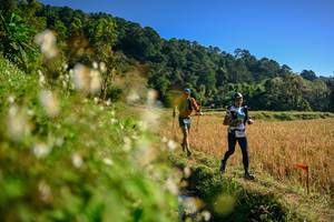 BIB: 
                            <button type="button" onclick="openModal(26571149)" class="btn btn-primary btn-sm float-right btn-popup" data-toggle="modal" data-target=".modal-high-quality">
                        <i class="fas fa-shopping-cart"></i> Add to Cart
                    </button>
                                            <button type="button" onclick="isThisMe(26571149, true)" class="btn btn-success btn-sm float-right btn-popup btn-isme hidden" data-toggle="tooltip" data-placement="bottom" title="นี่คือรูปของคุณใช่ไหม คลิกที่นี่เพื่อเอาเข้าอัลบั้ม">
                        <i class="fas fa-plus"></i> Add to album
                    </button>
                    <button type="button" onclick="isThisMe(26571149, false)" class="btn btn-warning btn-sm float-right btn-popup btn-isnotme hidden">
                        <i class="fas fa-ban"></i> Remove from album
                    </button>