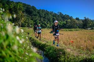 BIB: 
                            <button type="button" onclick="openModal(26575910)" class="btn btn-primary btn-sm float-right btn-popup" data-toggle="modal" data-target=".modal-high-quality">
                        <i class="fas fa-shopping-cart"></i> Add to Cart
                    </button>
                                            <button type="button" onclick="isThisMe(26575910, true)" class="btn btn-success btn-sm float-right btn-popup btn-isme hidden" data-toggle="tooltip" data-placement="bottom" title="นี่คือรูปของคุณใช่ไหม คลิกที่นี่เพื่อเอาเข้าอัลบั้ม">
                        <i class="fas fa-plus"></i> Add to album
                    </button>
                    <button type="button" onclick="isThisMe(26575910, false)" class="btn btn-warning btn-sm float-right btn-popup btn-isnotme hidden">
                        <i class="fas fa-ban"></i> Remove from album
                    </button>