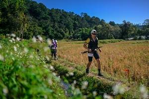 BIB: 
                            <button type="button" onclick="openModal(26576490)" class="btn btn-primary btn-sm float-right btn-popup" data-toggle="modal" data-target=".modal-high-quality">
                        <i class="fas fa-shopping-cart"></i> Add to Cart
                    </button>
                                            <button type="button" onclick="isThisMe(26576490, true)" class="btn btn-success btn-sm float-right btn-popup btn-isme hidden" data-toggle="tooltip" data-placement="bottom" title="นี่คือรูปของคุณใช่ไหม คลิกที่นี่เพื่อเอาเข้าอัลบั้ม">
                        <i class="fas fa-plus"></i> Add to album
                    </button>
                    <button type="button" onclick="isThisMe(26576490, false)" class="btn btn-warning btn-sm float-right btn-popup btn-isnotme hidden">
                        <i class="fas fa-ban"></i> Remove from album
                    </button>