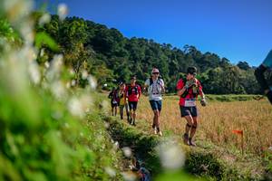 BIB: 
                            <button type="button" onclick="openModal(26573050)" class="btn btn-primary btn-sm float-right btn-popup" data-toggle="modal" data-target=".modal-high-quality">
                        <i class="fas fa-shopping-cart"></i> Add to Cart
                    </button>
                                            <button type="button" onclick="isThisMe(26573050, true)" class="btn btn-success btn-sm float-right btn-popup btn-isme hidden" data-toggle="tooltip" data-placement="bottom" title="นี่คือรูปของคุณใช่ไหม คลิกที่นี่เพื่อเอาเข้าอัลบั้ม">
                        <i class="fas fa-plus"></i> Add to album
                    </button>
                    <button type="button" onclick="isThisMe(26573050, false)" class="btn btn-warning btn-sm float-right btn-popup btn-isnotme hidden">
                        <i class="fas fa-ban"></i> Remove from album
                    </button>