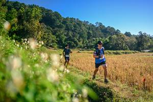 BIB: 
                            <button type="button" onclick="openModal(26570615)" class="btn btn-primary btn-sm float-right btn-popup" data-toggle="modal" data-target=".modal-high-quality">
                        <i class="fas fa-shopping-cart"></i> Add to Cart
                    </button>
                                            <button type="button" onclick="isThisMe(26570615, true)" class="btn btn-success btn-sm float-right btn-popup btn-isme hidden" data-toggle="tooltip" data-placement="bottom" title="นี่คือรูปของคุณใช่ไหม คลิกที่นี่เพื่อเอาเข้าอัลบั้ม">
                        <i class="fas fa-plus"></i> Add to album
                    </button>
                    <button type="button" onclick="isThisMe(26570615, false)" class="btn btn-warning btn-sm float-right btn-popup btn-isnotme hidden">
                        <i class="fas fa-ban"></i> Remove from album
                    </button>