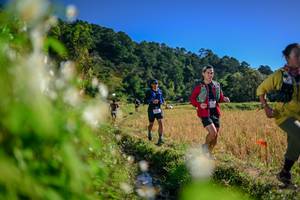 BIB: 
                            <button type="button" onclick="openModal(26573084)" class="btn btn-primary btn-sm float-right btn-popup" data-toggle="modal" data-target=".modal-high-quality">
                        <i class="fas fa-shopping-cart"></i> Add to Cart
                    </button>
                                            <button type="button" onclick="isThisMe(26573084, true)" class="btn btn-success btn-sm float-right btn-popup btn-isme hidden" data-toggle="tooltip" data-placement="bottom" title="นี่คือรูปของคุณใช่ไหม คลิกที่นี่เพื่อเอาเข้าอัลบั้ม">
                        <i class="fas fa-plus"></i> Add to album
                    </button>
                    <button type="button" onclick="isThisMe(26573084, false)" class="btn btn-warning btn-sm float-right btn-popup btn-isnotme hidden">
                        <i class="fas fa-ban"></i> Remove from album
                    </button>