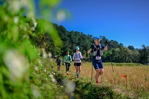 BIB: 
                            <button type="button" onclick="openModal(26580340)" class="btn btn-primary btn-sm float-right btn-popup" data-toggle="modal" data-target=".modal-high-quality">
                        <i class="fas fa-shopping-cart"></i> Add to Cart
                    </button>
                                            <button type="button" onclick="isThisMe(26580340, true)" class="btn btn-success btn-sm float-right btn-popup btn-isme hidden" data-toggle="tooltip" data-placement="bottom" title="นี่คือรูปของคุณใช่ไหม คลิกที่นี่เพื่อเอาเข้าอัลบั้ม">
                        <i class="fas fa-plus"></i> Add to album
                    </button>
                    <button type="button" onclick="isThisMe(26580340, false)" class="btn btn-warning btn-sm float-right btn-popup btn-isnotme hidden">
                        <i class="fas fa-ban"></i> Remove from album
                    </button>