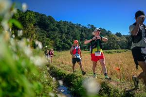 BIB: 
                            <button type="button" onclick="openModal(26574162)" class="btn btn-primary btn-sm float-right btn-popup" data-toggle="modal" data-target=".modal-high-quality">
                        <i class="fas fa-shopping-cart"></i> Add to Cart
                    </button>
                                            <button type="button" onclick="isThisMe(26574162, true)" class="btn btn-success btn-sm float-right btn-popup btn-isme hidden" data-toggle="tooltip" data-placement="bottom" title="นี่คือรูปของคุณใช่ไหม คลิกที่นี่เพื่อเอาเข้าอัลบั้ม">
                        <i class="fas fa-plus"></i> Add to album
                    </button>
                    <button type="button" onclick="isThisMe(26574162, false)" class="btn btn-warning btn-sm float-right btn-popup btn-isnotme hidden">
                        <i class="fas fa-ban"></i> Remove from album
                    </button>