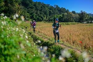 BIB: 
                            <button type="button" onclick="openModal(26576507)" class="btn btn-primary btn-sm float-right btn-popup" data-toggle="modal" data-target=".modal-high-quality">
                        <i class="fas fa-shopping-cart"></i> Add to Cart
                    </button>
                                            <button type="button" onclick="isThisMe(26576507, true)" class="btn btn-success btn-sm float-right btn-popup btn-isme hidden" data-toggle="tooltip" data-placement="bottom" title="นี่คือรูปของคุณใช่ไหม คลิกที่นี่เพื่อเอาเข้าอัลบั้ม">
                        <i class="fas fa-plus"></i> Add to album
                    </button>
                    <button type="button" onclick="isThisMe(26576507, false)" class="btn btn-warning btn-sm float-right btn-popup btn-isnotme hidden">
                        <i class="fas fa-ban"></i> Remove from album
                    </button>