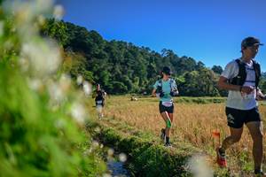 BIB: 
                            <button type="button" onclick="openModal(26572261)" class="btn btn-primary btn-sm float-right btn-popup" data-toggle="modal" data-target=".modal-high-quality">
                        <i class="fas fa-shopping-cart"></i> Add to Cart
                    </button>
                                            <button type="button" onclick="isThisMe(26572261, true)" class="btn btn-success btn-sm float-right btn-popup btn-isme hidden" data-toggle="tooltip" data-placement="bottom" title="นี่คือรูปของคุณใช่ไหม คลิกที่นี่เพื่อเอาเข้าอัลบั้ม">
                        <i class="fas fa-plus"></i> Add to album
                    </button>
                    <button type="button" onclick="isThisMe(26572261, false)" class="btn btn-warning btn-sm float-right btn-popup btn-isnotme hidden">
                        <i class="fas fa-ban"></i> Remove from album
                    </button>