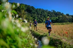 BIB: 
                            <button type="button" onclick="openModal(26574787)" class="btn btn-primary btn-sm float-right btn-popup" data-toggle="modal" data-target=".modal-high-quality">
                        <i class="fas fa-shopping-cart"></i> Add to Cart
                    </button>
                                            <button type="button" onclick="isThisMe(26574787, true)" class="btn btn-success btn-sm float-right btn-popup btn-isme hidden" data-toggle="tooltip" data-placement="bottom" title="นี่คือรูปของคุณใช่ไหม คลิกที่นี่เพื่อเอาเข้าอัลบั้ม">
                        <i class="fas fa-plus"></i> Add to album
                    </button>
                    <button type="button" onclick="isThisMe(26574787, false)" class="btn btn-warning btn-sm float-right btn-popup btn-isnotme hidden">
                        <i class="fas fa-ban"></i> Remove from album
                    </button>