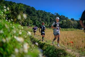 BIB: 
                            <button type="button" onclick="openModal(26582909)" class="btn btn-primary btn-sm float-right btn-popup" data-toggle="modal" data-target=".modal-high-quality">
                        <i class="fas fa-shopping-cart"></i> Add to Cart
                    </button>
                                            <button type="button" onclick="isThisMe(26582909, true)" class="btn btn-success btn-sm float-right btn-popup btn-isme hidden" data-toggle="tooltip" data-placement="bottom" title="นี่คือรูปของคุณใช่ไหม คลิกที่นี่เพื่อเอาเข้าอัลบั้ม">
                        <i class="fas fa-plus"></i> Add to album
                    </button>
                    <button type="button" onclick="isThisMe(26582909, false)" class="btn btn-warning btn-sm float-right btn-popup btn-isnotme hidden">
                        <i class="fas fa-ban"></i> Remove from album
                    </button>