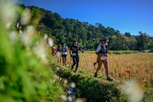 BIB: 
                            <button type="button" onclick="openModal(26572179)" class="btn btn-primary btn-sm float-right btn-popup" data-toggle="modal" data-target=".modal-high-quality">
                        <i class="fas fa-shopping-cart"></i> Add to Cart
                    </button>
                                            <button type="button" onclick="isThisMe(26572179, true)" class="btn btn-success btn-sm float-right btn-popup btn-isme hidden" data-toggle="tooltip" data-placement="bottom" title="นี่คือรูปของคุณใช่ไหม คลิกที่นี่เพื่อเอาเข้าอัลบั้ม">
                        <i class="fas fa-plus"></i> Add to album
                    </button>
                    <button type="button" onclick="isThisMe(26572179, false)" class="btn btn-warning btn-sm float-right btn-popup btn-isnotme hidden">
                        <i class="fas fa-ban"></i> Remove from album
                    </button>