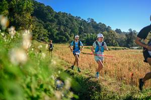 BIB: 
                            <button type="button" onclick="openModal(26570467)" class="btn btn-primary btn-sm float-right btn-popup" data-toggle="modal" data-target=".modal-high-quality">
                        <i class="fas fa-shopping-cart"></i> Add to Cart
                    </button>
                                            <button type="button" onclick="isThisMe(26570467, true)" class="btn btn-success btn-sm float-right btn-popup btn-isme hidden" data-toggle="tooltip" data-placement="bottom" title="นี่คือรูปของคุณใช่ไหม คลิกที่นี่เพื่อเอาเข้าอัลบั้ม">
                        <i class="fas fa-plus"></i> Add to album
                    </button>
                    <button type="button" onclick="isThisMe(26570467, false)" class="btn btn-warning btn-sm float-right btn-popup btn-isnotme hidden">
                        <i class="fas fa-ban"></i> Remove from album
                    </button>