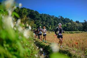 BIB: 
                            <button type="button" onclick="openModal(26572356)" class="btn btn-primary btn-sm float-right btn-popup" data-toggle="modal" data-target=".modal-high-quality">
                        <i class="fas fa-shopping-cart"></i> Add to Cart
                    </button>
                                            <button type="button" onclick="isThisMe(26572356, true)" class="btn btn-success btn-sm float-right btn-popup btn-isme hidden" data-toggle="tooltip" data-placement="bottom" title="นี่คือรูปของคุณใช่ไหม คลิกที่นี่เพื่อเอาเข้าอัลบั้ม">
                        <i class="fas fa-plus"></i> Add to album
                    </button>
                    <button type="button" onclick="isThisMe(26572356, false)" class="btn btn-warning btn-sm float-right btn-popup btn-isnotme hidden">
                        <i class="fas fa-ban"></i> Remove from album
                    </button>