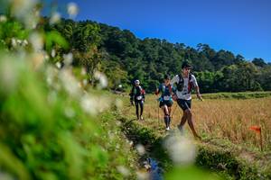 BIB: 
                            <button type="button" onclick="openModal(26573769)" class="btn btn-primary btn-sm float-right btn-popup" data-toggle="modal" data-target=".modal-high-quality">
                        <i class="fas fa-shopping-cart"></i> Add to Cart
                    </button>
                                            <button type="button" onclick="isThisMe(26573769, true)" class="btn btn-success btn-sm float-right btn-popup btn-isme hidden" data-toggle="tooltip" data-placement="bottom" title="นี่คือรูปของคุณใช่ไหม คลิกที่นี่เพื่อเอาเข้าอัลบั้ม">
                        <i class="fas fa-plus"></i> Add to album
                    </button>
                    <button type="button" onclick="isThisMe(26573769, false)" class="btn btn-warning btn-sm float-right btn-popup btn-isnotme hidden">
                        <i class="fas fa-ban"></i> Remove from album
                    </button>