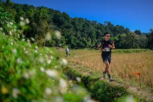 BIB: 
                            <button type="button" onclick="openModal(26581944)" class="btn btn-primary btn-sm float-right btn-popup" data-toggle="modal" data-target=".modal-high-quality">
                        <i class="fas fa-shopping-cart"></i> Add to Cart
                    </button>
                                            <button type="button" onclick="isThisMe(26581944, true)" class="btn btn-success btn-sm float-right btn-popup btn-isme hidden" data-toggle="tooltip" data-placement="bottom" title="นี่คือรูปของคุณใช่ไหม คลิกที่นี่เพื่อเอาเข้าอัลบั้ม">
                        <i class="fas fa-plus"></i> Add to album
                    </button>
                    <button type="button" onclick="isThisMe(26581944, false)" class="btn btn-warning btn-sm float-right btn-popup btn-isnotme hidden">
                        <i class="fas fa-ban"></i> Remove from album
                    </button>