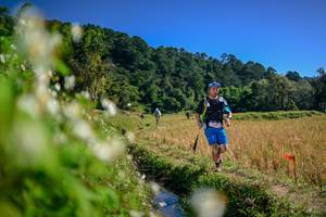 BIB: 
                            <button type="button" onclick="openModal(26575260)" class="btn btn-primary btn-sm float-right btn-popup" data-toggle="modal" data-target=".modal-high-quality">
                        <i class="fas fa-shopping-cart"></i> Add to Cart
                    </button>
                                            <button type="button" onclick="isThisMe(26575260, true)" class="btn btn-success btn-sm float-right btn-popup btn-isme hidden" data-toggle="tooltip" data-placement="bottom" title="นี่คือรูปของคุณใช่ไหม คลิกที่นี่เพื่อเอาเข้าอัลบั้ม">
                        <i class="fas fa-plus"></i> Add to album
                    </button>
                    <button type="button" onclick="isThisMe(26575260, false)" class="btn btn-warning btn-sm float-right btn-popup btn-isnotme hidden">
                        <i class="fas fa-ban"></i> Remove from album
                    </button>