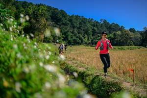 BIB: 
                            <button type="button" onclick="openModal(26582275)" class="btn btn-primary btn-sm float-right btn-popup" data-toggle="modal" data-target=".modal-high-quality">
                        <i class="fas fa-shopping-cart"></i> Add to Cart
                    </button>
                                            <button type="button" onclick="isThisMe(26582275, true)" class="btn btn-success btn-sm float-right btn-popup btn-isme hidden" data-toggle="tooltip" data-placement="bottom" title="นี่คือรูปของคุณใช่ไหม คลิกที่นี่เพื่อเอาเข้าอัลบั้ม">
                        <i class="fas fa-plus"></i> Add to album
                    </button>
                    <button type="button" onclick="isThisMe(26582275, false)" class="btn btn-warning btn-sm float-right btn-popup btn-isnotme hidden">
                        <i class="fas fa-ban"></i> Remove from album
                    </button>