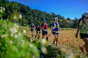 BIB: 
                            <button type="button" onclick="openModal(26579632)" class="btn btn-primary btn-sm float-right btn-popup" data-toggle="modal" data-target=".modal-high-quality">
                        <i class="fas fa-shopping-cart"></i> Add to Cart
                    </button>
                                            <button type="button" onclick="isThisMe(26579632, true)" class="btn btn-success btn-sm float-right btn-popup btn-isme hidden" data-toggle="tooltip" data-placement="bottom" title="นี่คือรูปของคุณใช่ไหม คลิกที่นี่เพื่อเอาเข้าอัลบั้ม">
                        <i class="fas fa-plus"></i> Add to album
                    </button>
                    <button type="button" onclick="isThisMe(26579632, false)" class="btn btn-warning btn-sm float-right btn-popup btn-isnotme hidden">
                        <i class="fas fa-ban"></i> Remove from album
                    </button>