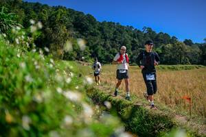 BIB: 
                            <button type="button" onclick="openModal(26582183)" class="btn btn-primary btn-sm float-right btn-popup" data-toggle="modal" data-target=".modal-high-quality">
                        <i class="fas fa-shopping-cart"></i> Add to Cart
                    </button>
                                            <button type="button" onclick="isThisMe(26582183, true)" class="btn btn-success btn-sm float-right btn-popup btn-isme hidden" data-toggle="tooltip" data-placement="bottom" title="นี่คือรูปของคุณใช่ไหม คลิกที่นี่เพื่อเอาเข้าอัลบั้ม">
                        <i class="fas fa-plus"></i> Add to album
                    </button>
                    <button type="button" onclick="isThisMe(26582183, false)" class="btn btn-warning btn-sm float-right btn-popup btn-isnotme hidden">
                        <i class="fas fa-ban"></i> Remove from album
                    </button>