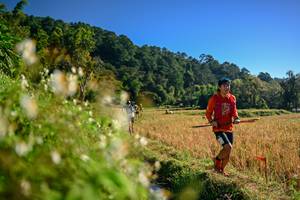 BIB: 
                            <button type="button" onclick="openModal(26571168)" class="btn btn-primary btn-sm float-right btn-popup" data-toggle="modal" data-target=".modal-high-quality">
                        <i class="fas fa-shopping-cart"></i> Add to Cart
                    </button>
                                            <button type="button" onclick="isThisMe(26571168, true)" class="btn btn-success btn-sm float-right btn-popup btn-isme hidden" data-toggle="tooltip" data-placement="bottom" title="นี่คือรูปของคุณใช่ไหม คลิกที่นี่เพื่อเอาเข้าอัลบั้ม">
                        <i class="fas fa-plus"></i> Add to album
                    </button>
                    <button type="button" onclick="isThisMe(26571168, false)" class="btn btn-warning btn-sm float-right btn-popup btn-isnotme hidden">
                        <i class="fas fa-ban"></i> Remove from album
                    </button>