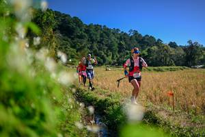 BIB: 
                            <button type="button" onclick="openModal(26574182)" class="btn btn-primary btn-sm float-right btn-popup" data-toggle="modal" data-target=".modal-high-quality">
                        <i class="fas fa-shopping-cart"></i> Add to Cart
                    </button>
                                            <button type="button" onclick="isThisMe(26574182, true)" class="btn btn-success btn-sm float-right btn-popup btn-isme hidden" data-toggle="tooltip" data-placement="bottom" title="นี่คือรูปของคุณใช่ไหม คลิกที่นี่เพื่อเอาเข้าอัลบั้ม">
                        <i class="fas fa-plus"></i> Add to album
                    </button>
                    <button type="button" onclick="isThisMe(26574182, false)" class="btn btn-warning btn-sm float-right btn-popup btn-isnotme hidden">
                        <i class="fas fa-ban"></i> Remove from album
                    </button>