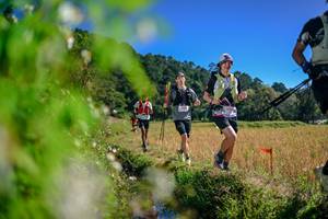 BIB: 
                            <button type="button" onclick="openModal(26580997)" class="btn btn-primary btn-sm float-right btn-popup" data-toggle="modal" data-target=".modal-high-quality">
                        <i class="fas fa-shopping-cart"></i> Add to Cart
                    </button>
                                            <button type="button" onclick="isThisMe(26580997, true)" class="btn btn-success btn-sm float-right btn-popup btn-isme hidden" data-toggle="tooltip" data-placement="bottom" title="นี่คือรูปของคุณใช่ไหม คลิกที่นี่เพื่อเอาเข้าอัลบั้ม">
                        <i class="fas fa-plus"></i> Add to album
                    </button>
                    <button type="button" onclick="isThisMe(26580997, false)" class="btn btn-warning btn-sm float-right btn-popup btn-isnotme hidden">
                        <i class="fas fa-ban"></i> Remove from album
                    </button>