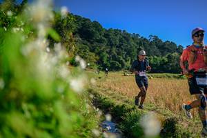 BIB: 
                            <button type="button" onclick="openModal(26572854)" class="btn btn-primary btn-sm float-right btn-popup" data-toggle="modal" data-target=".modal-high-quality">
                        <i class="fas fa-shopping-cart"></i> Add to Cart
                    </button>
                                            <button type="button" onclick="isThisMe(26572854, true)" class="btn btn-success btn-sm float-right btn-popup btn-isme hidden" data-toggle="tooltip" data-placement="bottom" title="นี่คือรูปของคุณใช่ไหม คลิกที่นี่เพื่อเอาเข้าอัลบั้ม">
                        <i class="fas fa-plus"></i> Add to album
                    </button>
                    <button type="button" onclick="isThisMe(26572854, false)" class="btn btn-warning btn-sm float-right btn-popup btn-isnotme hidden">
                        <i class="fas fa-ban"></i> Remove from album
                    </button>