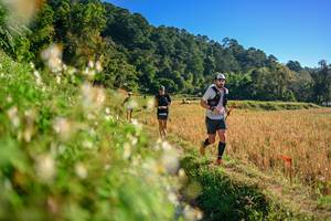 BIB: 
                            <button type="button" onclick="openModal(26570951)" class="btn btn-primary btn-sm float-right btn-popup" data-toggle="modal" data-target=".modal-high-quality">
                        <i class="fas fa-shopping-cart"></i> Add to Cart
                    </button>
                                            <button type="button" onclick="isThisMe(26570951, true)" class="btn btn-success btn-sm float-right btn-popup btn-isme hidden" data-toggle="tooltip" data-placement="bottom" title="นี่คือรูปของคุณใช่ไหม คลิกที่นี่เพื่อเอาเข้าอัลบั้ม">
                        <i class="fas fa-plus"></i> Add to album
                    </button>
                    <button type="button" onclick="isThisMe(26570951, false)" class="btn btn-warning btn-sm float-right btn-popup btn-isnotme hidden">
                        <i class="fas fa-ban"></i> Remove from album
                    </button>