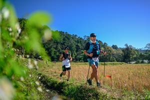 BIB: 
                            <button type="button" onclick="openModal(26579725)" class="btn btn-primary btn-sm float-right btn-popup" data-toggle="modal" data-target=".modal-high-quality">
                        <i class="fas fa-shopping-cart"></i> Add to Cart
                    </button>
                                            <button type="button" onclick="isThisMe(26579725, true)" class="btn btn-success btn-sm float-right btn-popup btn-isme hidden" data-toggle="tooltip" data-placement="bottom" title="นี่คือรูปของคุณใช่ไหม คลิกที่นี่เพื่อเอาเข้าอัลบั้ม">
                        <i class="fas fa-plus"></i> Add to album
                    </button>
                    <button type="button" onclick="isThisMe(26579725, false)" class="btn btn-warning btn-sm float-right btn-popup btn-isnotme hidden">
                        <i class="fas fa-ban"></i> Remove from album
                    </button>