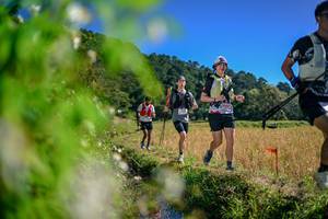 BIB: 
                            <button type="button" onclick="openModal(26580985)" class="btn btn-primary btn-sm float-right btn-popup" data-toggle="modal" data-target=".modal-high-quality">
                        <i class="fas fa-shopping-cart"></i> Add to Cart
                    </button>
                                            <button type="button" onclick="isThisMe(26580985, true)" class="btn btn-success btn-sm float-right btn-popup btn-isme hidden" data-toggle="tooltip" data-placement="bottom" title="นี่คือรูปของคุณใช่ไหม คลิกที่นี่เพื่อเอาเข้าอัลบั้ม">
                        <i class="fas fa-plus"></i> Add to album
                    </button>
                    <button type="button" onclick="isThisMe(26580985, false)" class="btn btn-warning btn-sm float-right btn-popup btn-isnotme hidden">
                        <i class="fas fa-ban"></i> Remove from album
                    </button>