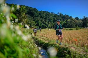 BIB: 
                            <button type="button" onclick="openModal(26574754)" class="btn btn-primary btn-sm float-right btn-popup" data-toggle="modal" data-target=".modal-high-quality">
                        <i class="fas fa-shopping-cart"></i> Add to Cart
                    </button>
                                            <button type="button" onclick="isThisMe(26574754, true)" class="btn btn-success btn-sm float-right btn-popup btn-isme hidden" data-toggle="tooltip" data-placement="bottom" title="นี่คือรูปของคุณใช่ไหม คลิกที่นี่เพื่อเอาเข้าอัลบั้ม">
                        <i class="fas fa-plus"></i> Add to album
                    </button>
                    <button type="button" onclick="isThisMe(26574754, false)" class="btn btn-warning btn-sm float-right btn-popup btn-isnotme hidden">
                        <i class="fas fa-ban"></i> Remove from album
                    </button>