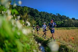 BIB: 
                            <button type="button" onclick="openModal(26573816)" class="btn btn-primary btn-sm float-right btn-popup" data-toggle="modal" data-target=".modal-high-quality">
                        <i class="fas fa-shopping-cart"></i> Add to Cart
                    </button>
                                            <button type="button" onclick="isThisMe(26573816, true)" class="btn btn-success btn-sm float-right btn-popup btn-isme hidden" data-toggle="tooltip" data-placement="bottom" title="นี่คือรูปของคุณใช่ไหม คลิกที่นี่เพื่อเอาเข้าอัลบั้ม">
                        <i class="fas fa-plus"></i> Add to album
                    </button>
                    <button type="button" onclick="isThisMe(26573816, false)" class="btn btn-warning btn-sm float-right btn-popup btn-isnotme hidden">
                        <i class="fas fa-ban"></i> Remove from album
                    </button>