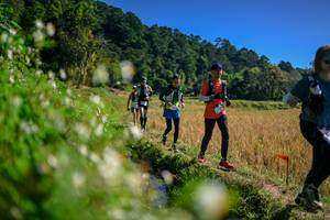 BIB: 
                            <button type="button" onclick="openModal(26576331)" class="btn btn-primary btn-sm float-right btn-popup" data-toggle="modal" data-target=".modal-high-quality">
                        <i class="fas fa-shopping-cart"></i> Add to Cart
                    </button>
                                            <button type="button" onclick="isThisMe(26576331, true)" class="btn btn-success btn-sm float-right btn-popup btn-isme hidden" data-toggle="tooltip" data-placement="bottom" title="นี่คือรูปของคุณใช่ไหม คลิกที่นี่เพื่อเอาเข้าอัลบั้ม">
                        <i class="fas fa-plus"></i> Add to album
                    </button>
                    <button type="button" onclick="isThisMe(26576331, false)" class="btn btn-warning btn-sm float-right btn-popup btn-isnotme hidden">
                        <i class="fas fa-ban"></i> Remove from album
                    </button>