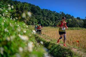 BIB: 
                            <button type="button" onclick="openModal(26583182)" class="btn btn-primary btn-sm float-right btn-popup" data-toggle="modal" data-target=".modal-high-quality">
                        <i class="fas fa-shopping-cart"></i> Add to Cart
                    </button>
                                            <button type="button" onclick="isThisMe(26583182, true)" class="btn btn-success btn-sm float-right btn-popup btn-isme hidden" data-toggle="tooltip" data-placement="bottom" title="นี่คือรูปของคุณใช่ไหม คลิกที่นี่เพื่อเอาเข้าอัลบั้ม">
                        <i class="fas fa-plus"></i> Add to album
                    </button>
                    <button type="button" onclick="isThisMe(26583182, false)" class="btn btn-warning btn-sm float-right btn-popup btn-isnotme hidden">
                        <i class="fas fa-ban"></i> Remove from album
                    </button>