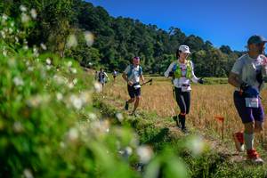 BIB: 
                            <button type="button" onclick="openModal(26581612)" class="btn btn-primary btn-sm float-right btn-popup" data-toggle="modal" data-target=".modal-high-quality">
                        <i class="fas fa-shopping-cart"></i> Add to Cart
                    </button>
                                            <button type="button" onclick="isThisMe(26581612, true)" class="btn btn-success btn-sm float-right btn-popup btn-isme hidden" data-toggle="tooltip" data-placement="bottom" title="นี่คือรูปของคุณใช่ไหม คลิกที่นี่เพื่อเอาเข้าอัลบั้ม">
                        <i class="fas fa-plus"></i> Add to album
                    </button>
                    <button type="button" onclick="isThisMe(26581612, false)" class="btn btn-warning btn-sm float-right btn-popup btn-isnotme hidden">
                        <i class="fas fa-ban"></i> Remove from album
                    </button>