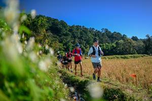 BIB: 
                            <button type="button" onclick="openModal(26572641)" class="btn btn-primary btn-sm float-right btn-popup" data-toggle="modal" data-target=".modal-high-quality">
                        <i class="fas fa-shopping-cart"></i> Add to Cart
                    </button>
                                            <button type="button" onclick="isThisMe(26572641, true)" class="btn btn-success btn-sm float-right btn-popup btn-isme hidden" data-toggle="tooltip" data-placement="bottom" title="นี่คือรูปของคุณใช่ไหม คลิกที่นี่เพื่อเอาเข้าอัลบั้ม">
                        <i class="fas fa-plus"></i> Add to album
                    </button>
                    <button type="button" onclick="isThisMe(26572641, false)" class="btn btn-warning btn-sm float-right btn-popup btn-isnotme hidden">
                        <i class="fas fa-ban"></i> Remove from album
                    </button>